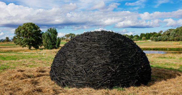 A paddock full of art returns to Sculpture@Shaw at Murrumbateman