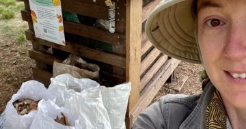 Composting for the community: catching up with Capital Scraps