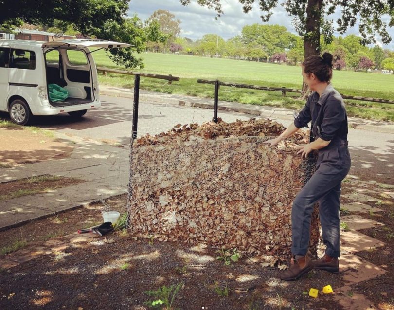 Woman with pile of dead leaves and a white van