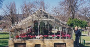 Beautiful flowers returning to revive Belmore Park glasshouse