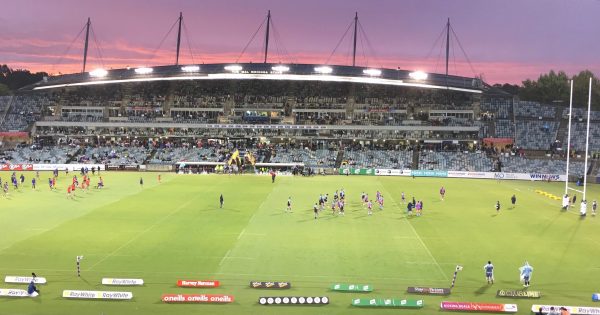 Pre-season trial in Griffith more than a game for Brumbies' hopefuls