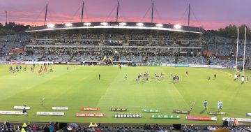 It's more than a game when the Brumbies face the Waratahs - especially in 2024