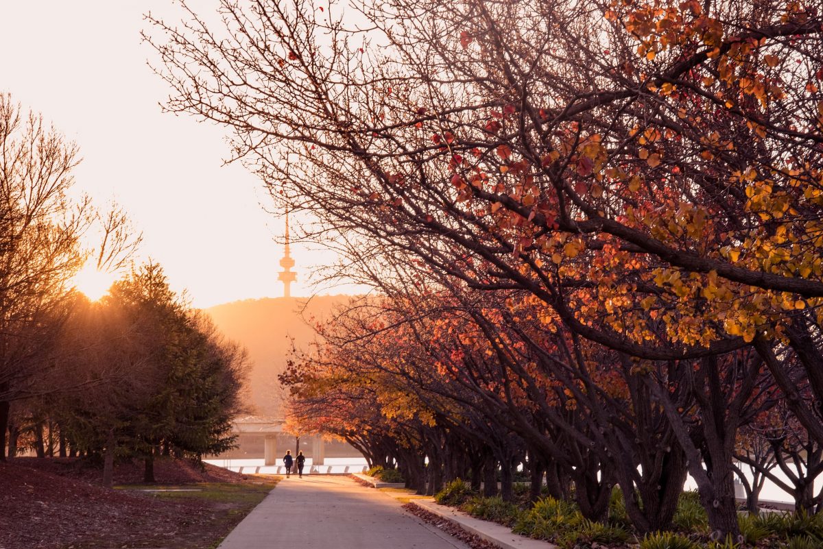 Lake Burley Griffin in autumn looking out to Telstra Tower