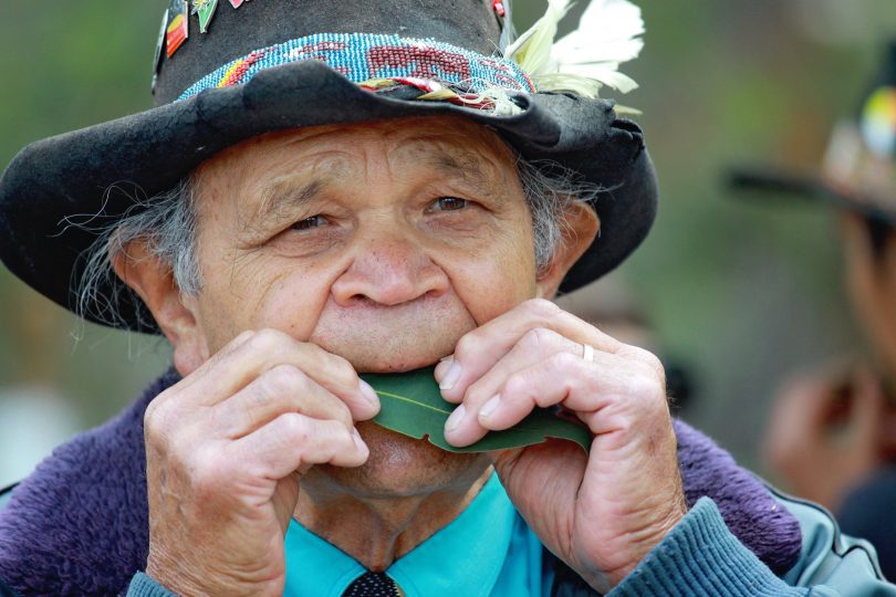 Man playing gumleaf