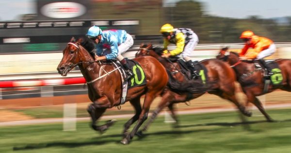 Canberra Racing Club is preparing for a Super Sunday you'll never forget