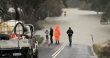 Only an Aussie hero can be laid-back, whilst 10-foot-tall-and-bulletproof