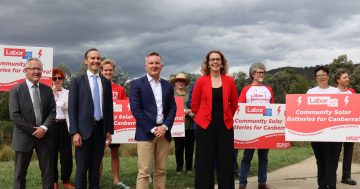 Federal Labor promises power to the people with community batteries