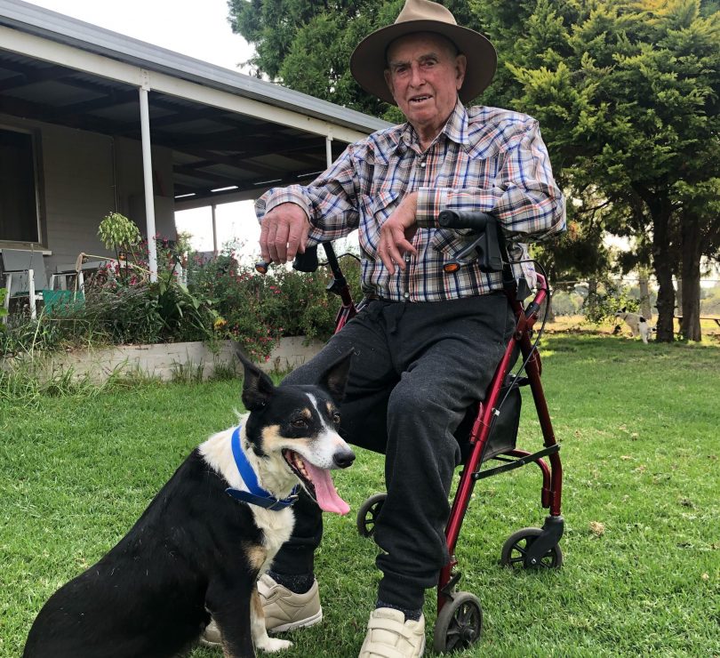 Farmer on mobility scooter with a beautiful working dog