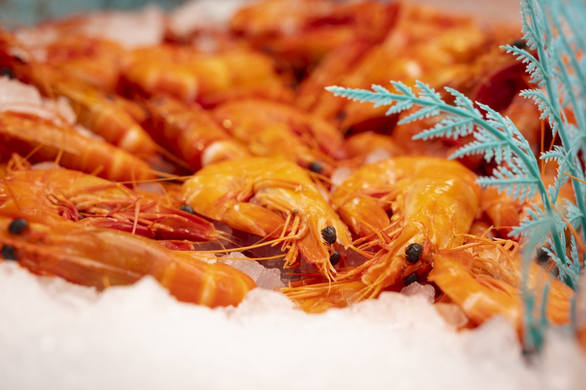 Tiger prawns