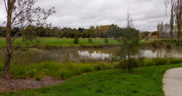 Labor commits to tipping $3 million into Canberra's waterways