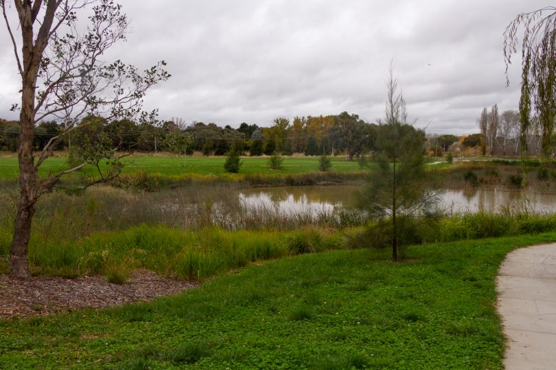 Jerrabomberra wetlands