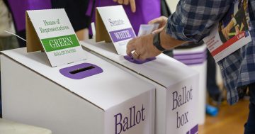 Early voting opened today: here's how to vote in the 2022 Federal Election