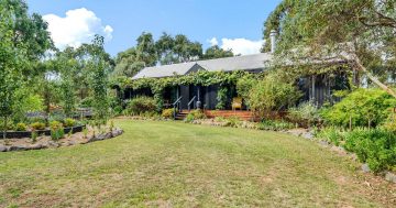 Live surrounded by nature in this beautifully renovated Gundaroo home