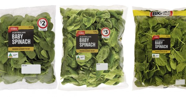 Salmonella fears prompt Coles to recall baby spinach