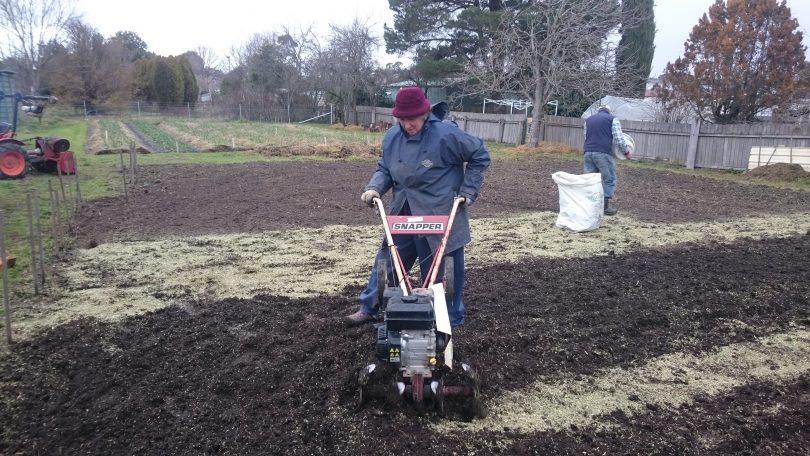 woman with digging machine. 