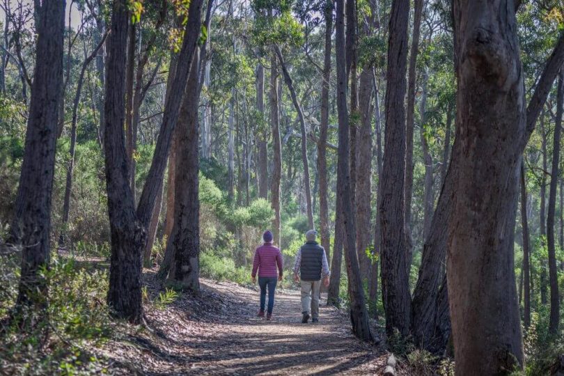 eople walk the Bundian Way on Eden track