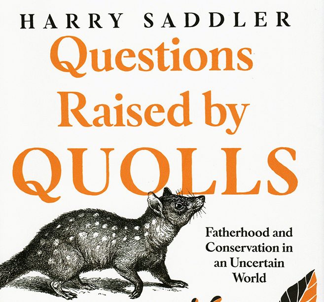 Questions Raised by Quolls book cover