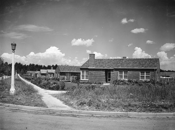 Government houses on the corner of Forbes and Condamine Streets, Turner, in 1951. 