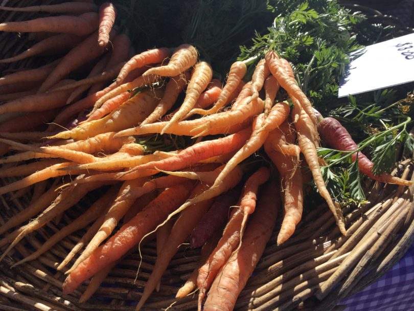 carrots in basket