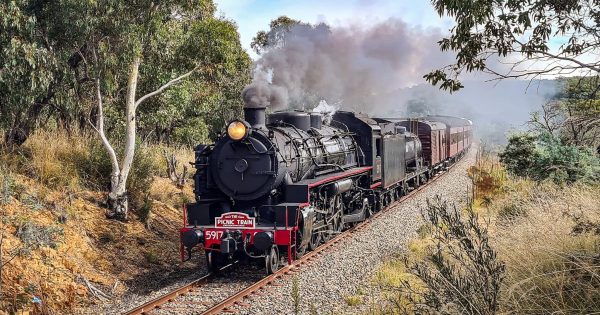 Picnic Train proves ACT's passion for steam is still burning hot