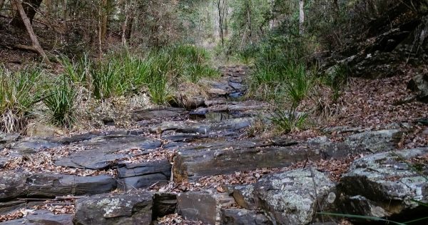 Does South Coast granite attract lightning? ANU expert digs into Black Flat legend