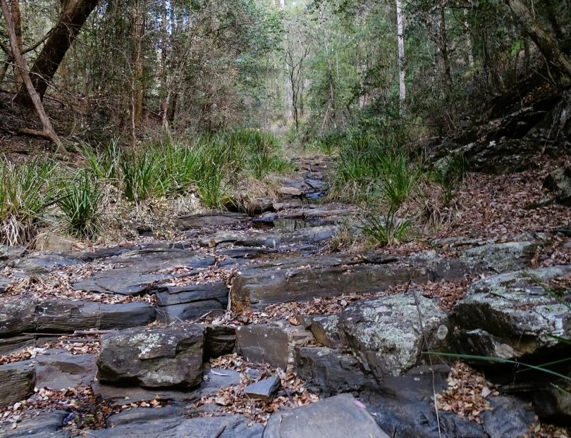 rocky path