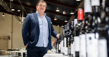 The National Wine Show is back, stronger than ever