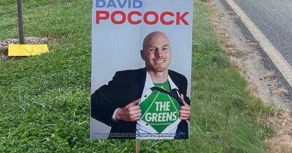 'Closet Greens' Pocock corflutes found in breach of electoral laws by AEC