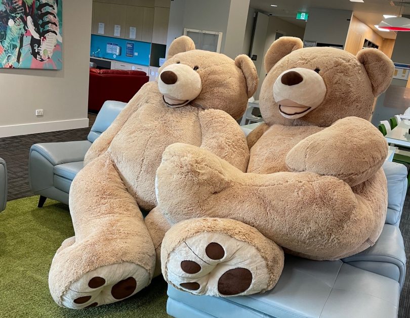 Two giant teddies sitting on a couch