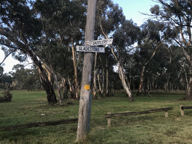 Street signs in Hall 