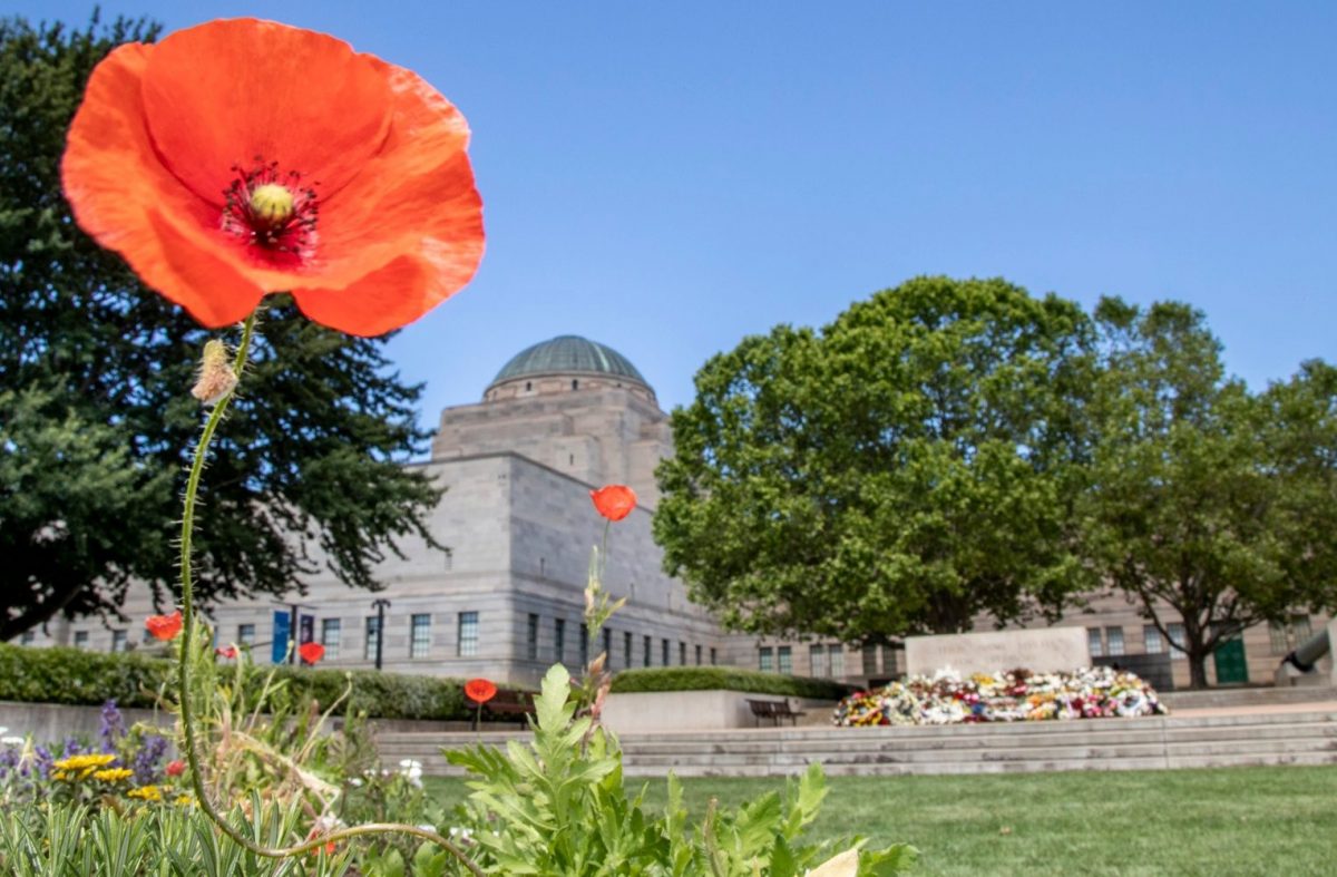 poppy featured on war memorial grounds
