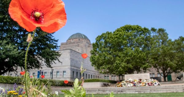 Here's what's on this Anzac Day in Canberra