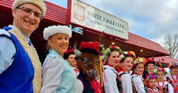 The 'White Eagle' hails from the glory days of Canberra's Eastern European clubs