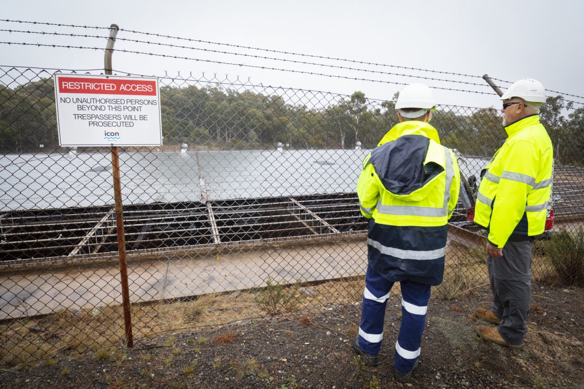 Two men standing at a wire fence