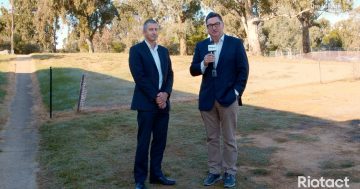 Five minutes with Tim Gavel and Basketball ACT CEO David Simpson