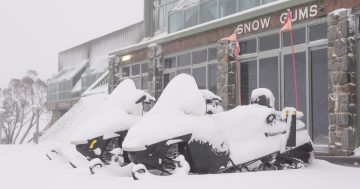 Last day of autumn sees massive snow dumps with 100 km/h winds forecast