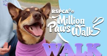 RSPCA Million Paws Walk
