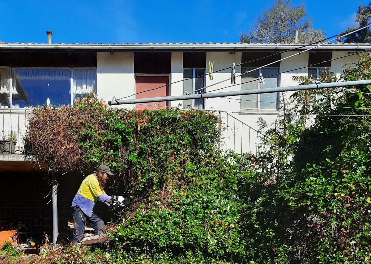 Man doing gardening