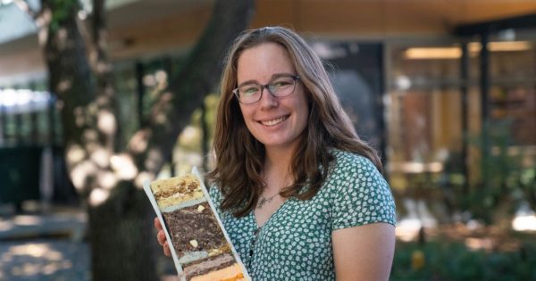 Cake inspired by Lake George sediment wins annual ANU 'bake off'