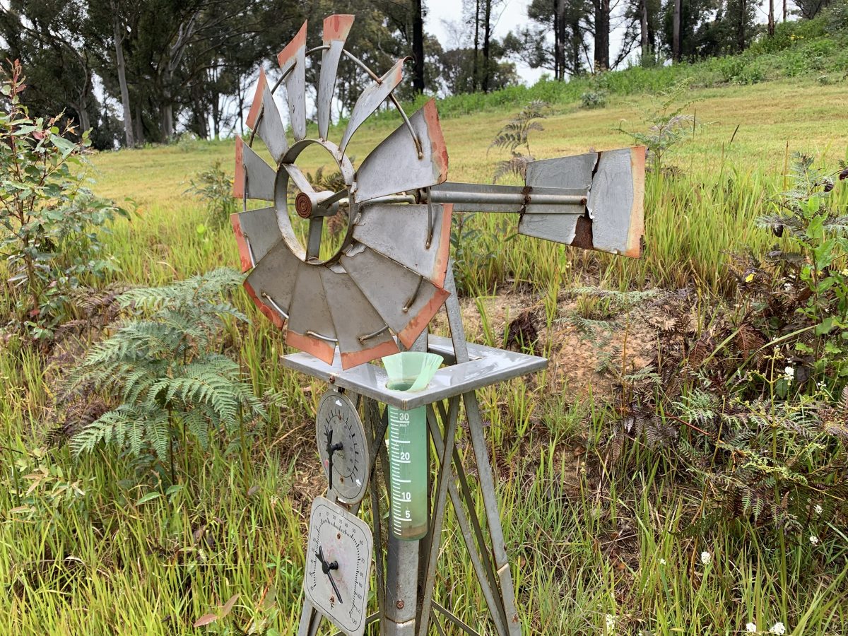 Rain gauge and weather station windmill