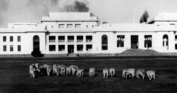 'Provisional Parliament House' stands strong, 95 years young