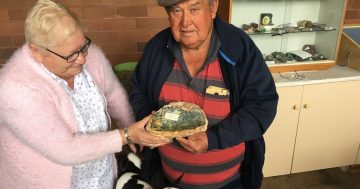 Joe and Sue O’Neil's Goulburn club fossicks for an elusive home base