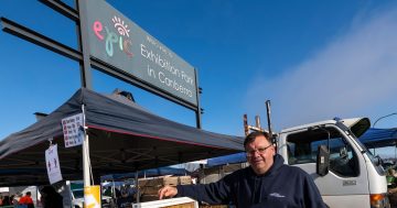 Capital Region Farmers Market is the place to bee this election day