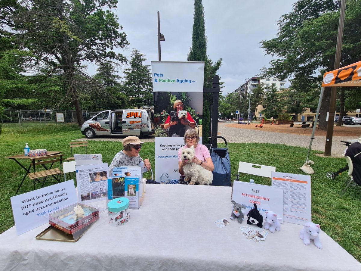 A Pets and Positive Aging (PAPA) fundraising event at Haig Park. 