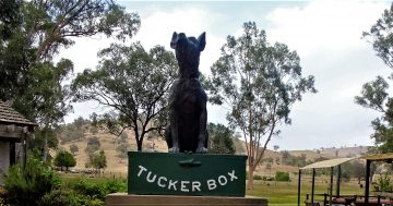 The short and tall tales that put Gundagai on the map