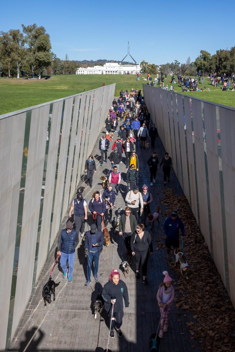 Participants meet near Questacon before walking around Lake Burley Griffin. 