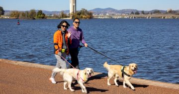 Plans afoot to extend Lake Burley Griffin's bridge-to-bridge walk into one of Australia's greatest