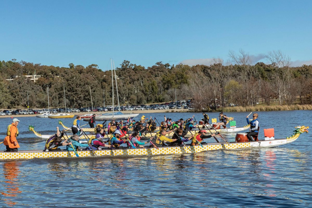 Dragon boats