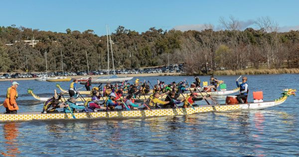 Canberra's annual Dragon Boat Festival is back to highlight China's unique history and traditions