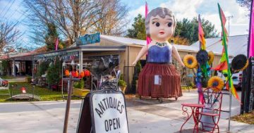 Giant Sydney Olympics kewpie doll to star at Bungendore auction